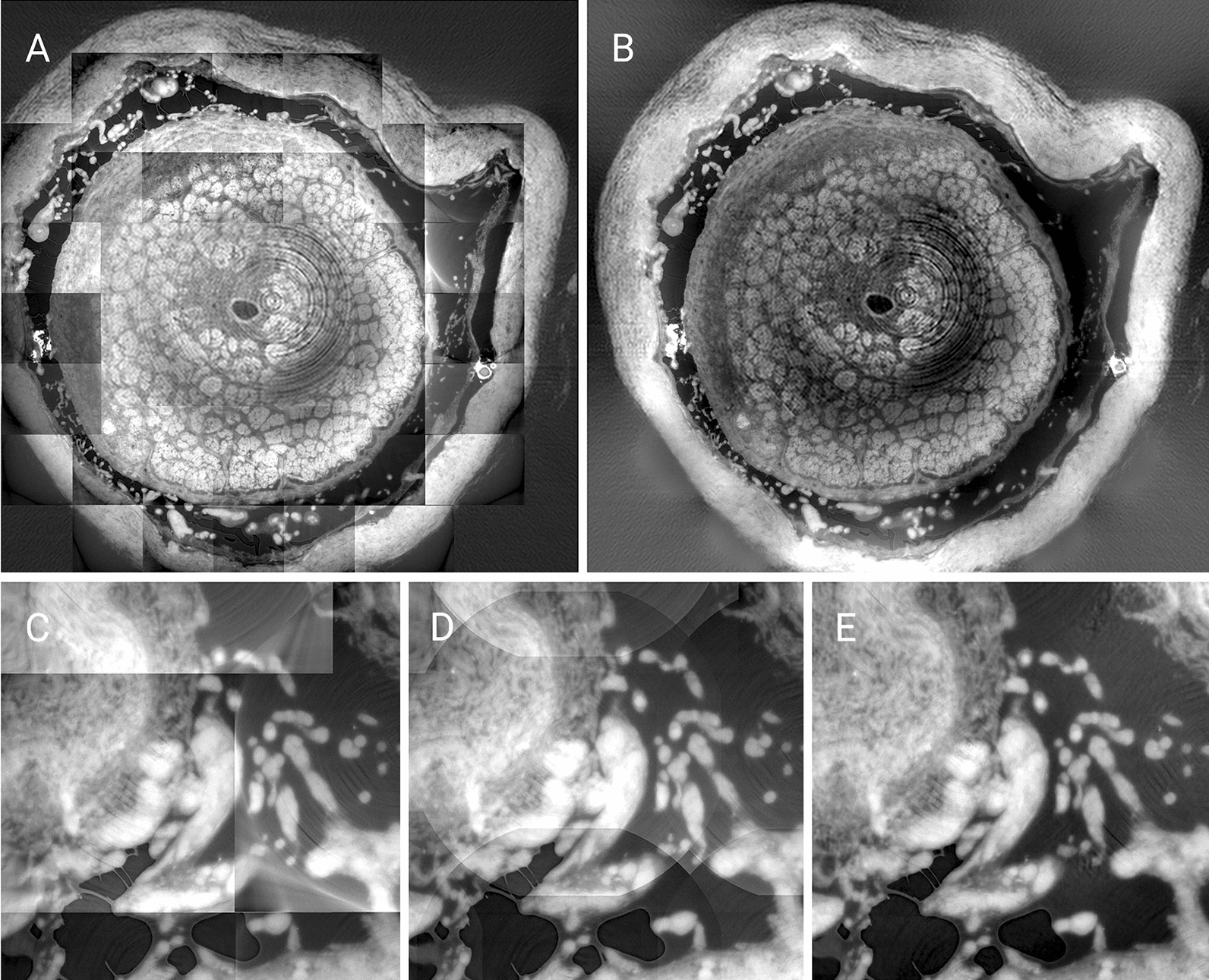 Fig. 2