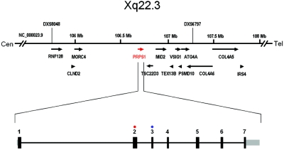 Figure  3. 