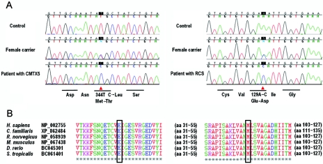 Figure  4. 