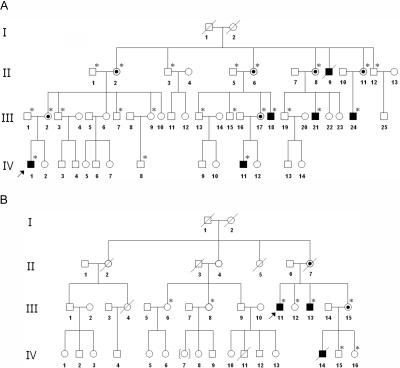 Figure  1. 