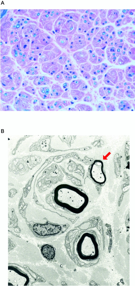 Figure  2. 