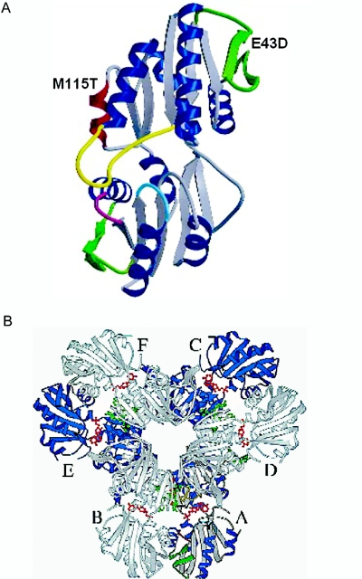 Figure  7. 