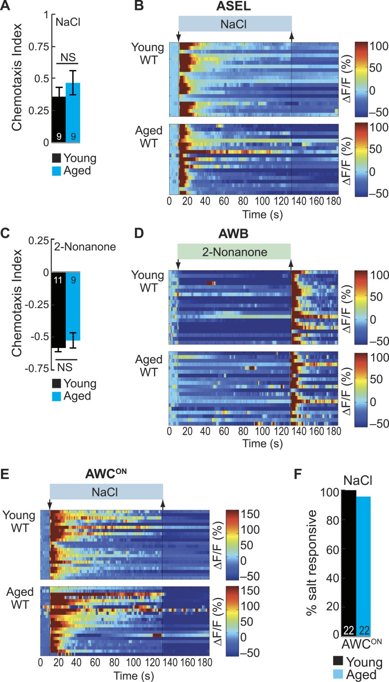 Figure 5—figure supplement 4.