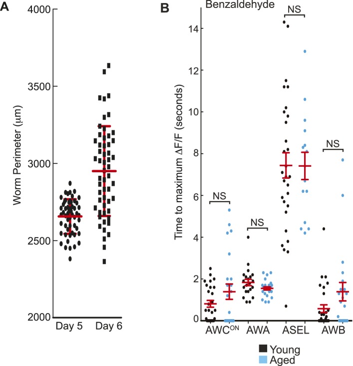 Figure 5—figure supplement 1.