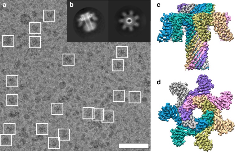 Fig. 2