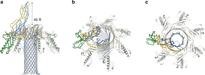 Fig. 4