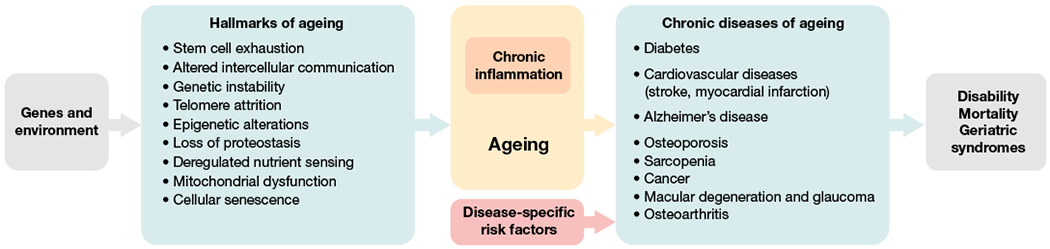 Fig. 2 |