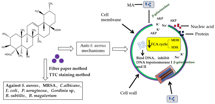 Figure 15