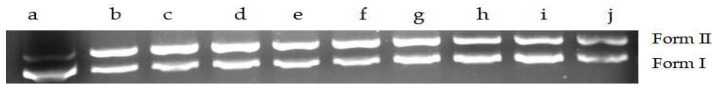 Figure 13