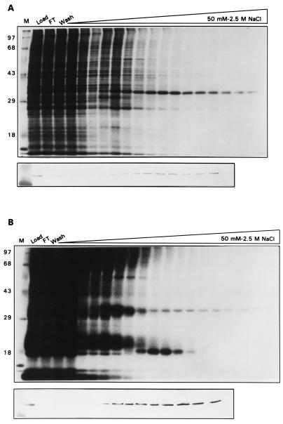 FIG. 10