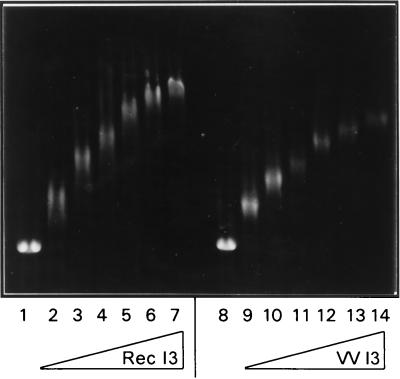 FIG. 9