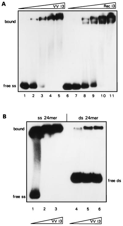 FIG. 8