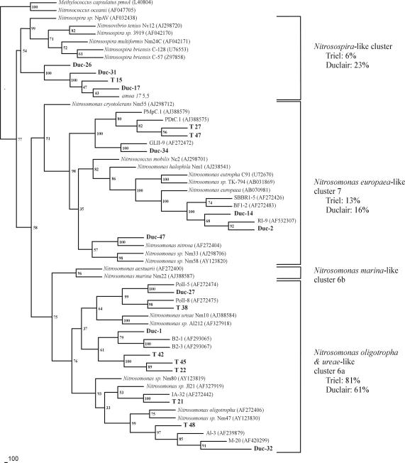 FIG. 5.