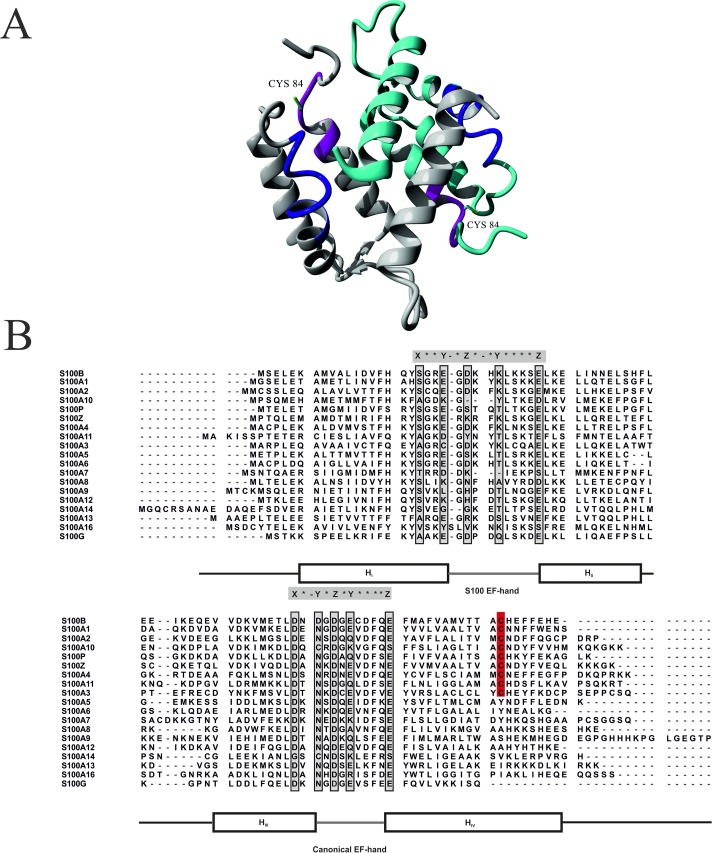 Fig 5