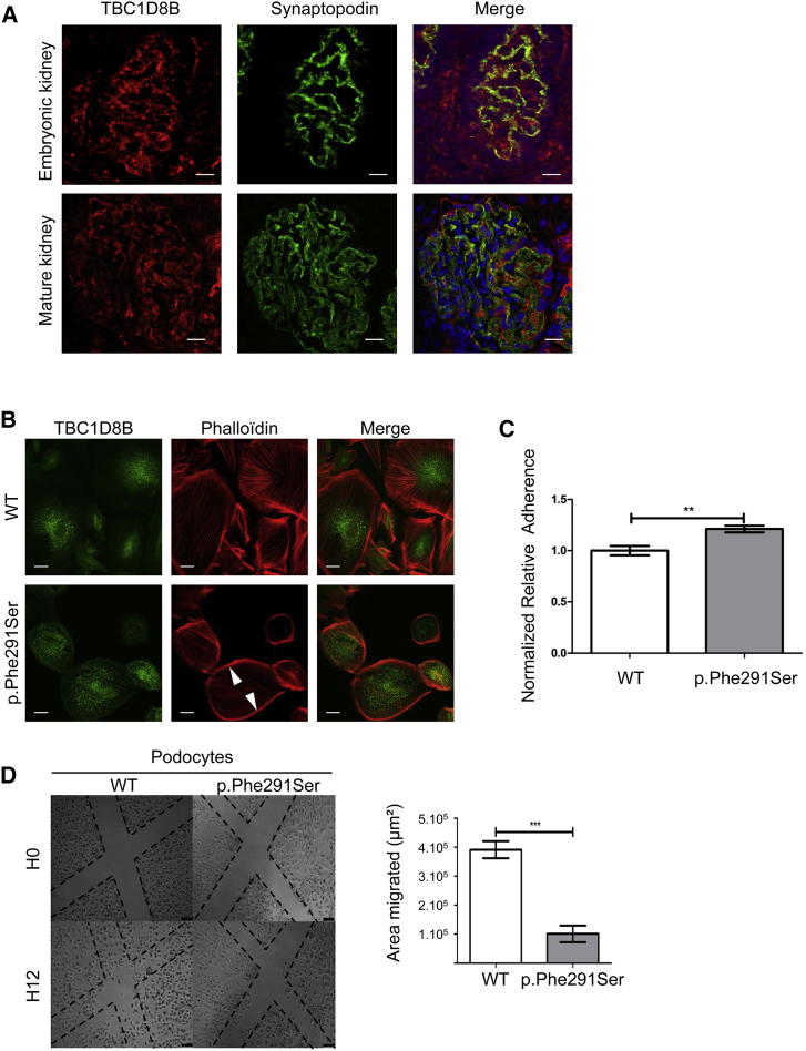 Figure 2