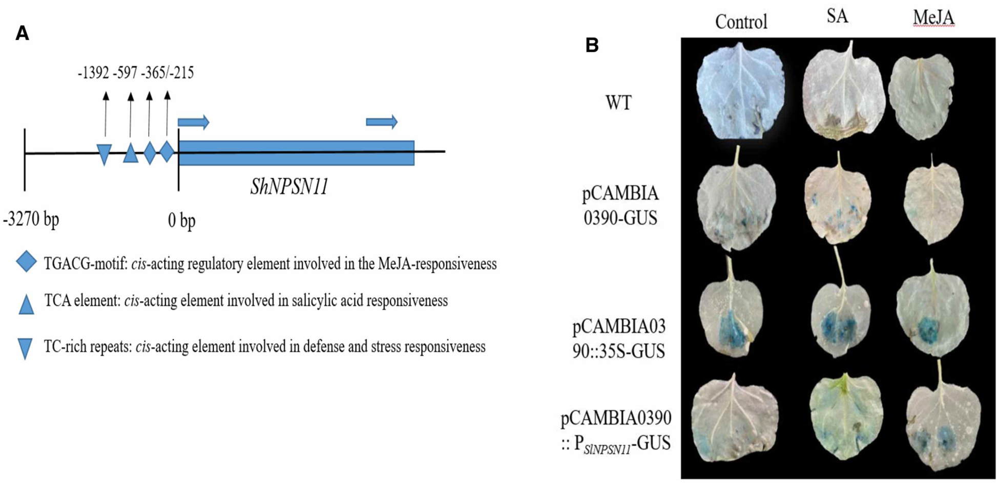 Figure 3.