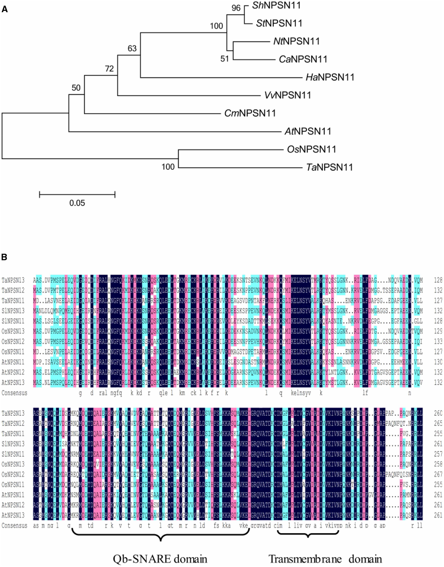 Figure 2.