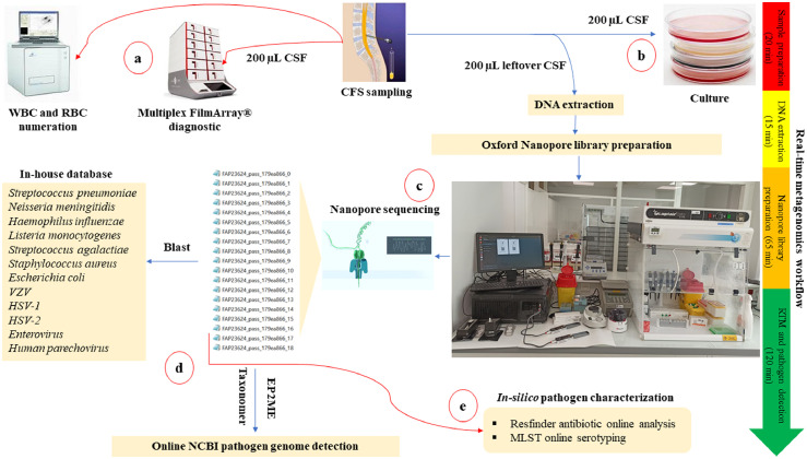 Figure 1: