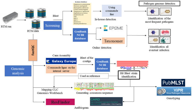 Figure 2: