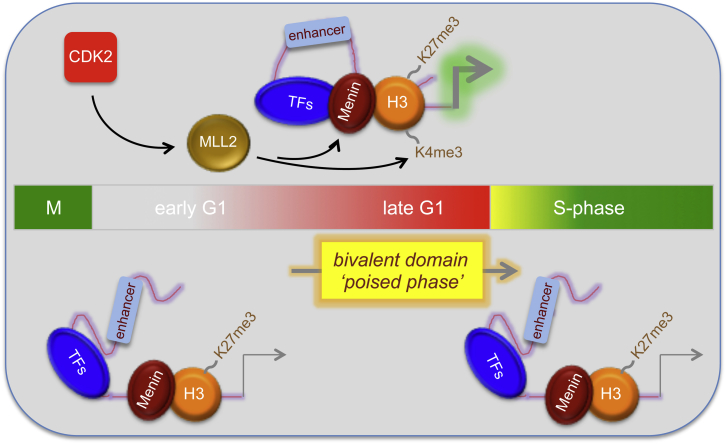 Figure 6