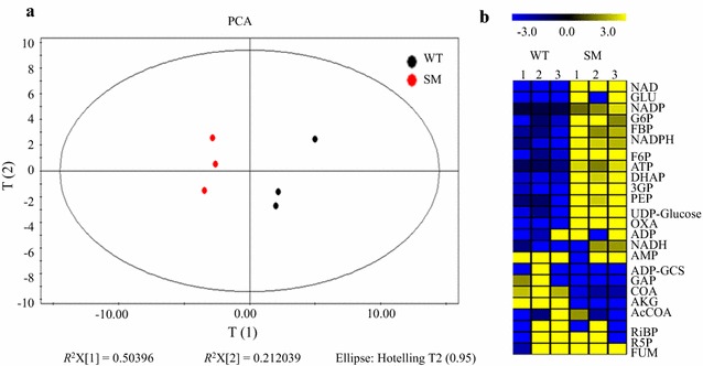 Fig. 3