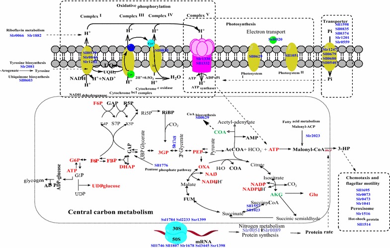 Fig. 4