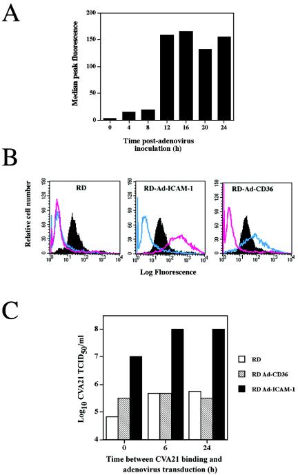 FIG. 3.