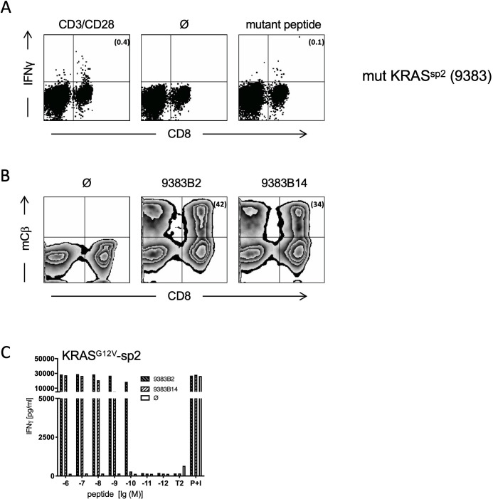 Figure 1—figure supplement 1.