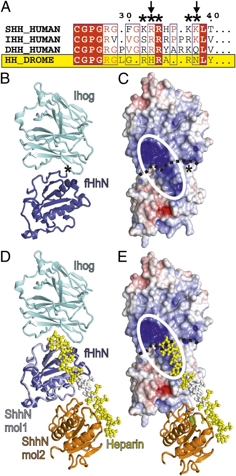 Fig. 3.