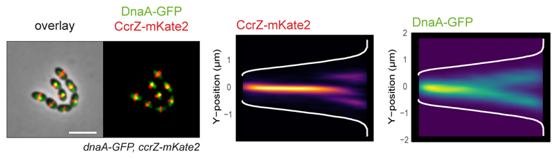 Extended Data Fig. 5