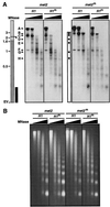 FIG. 4