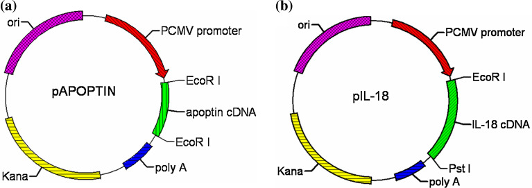 Fig. 1