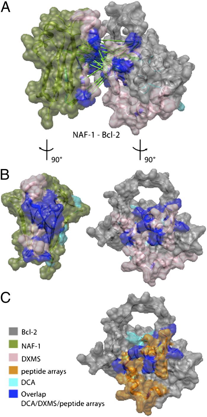 Fig. 7.