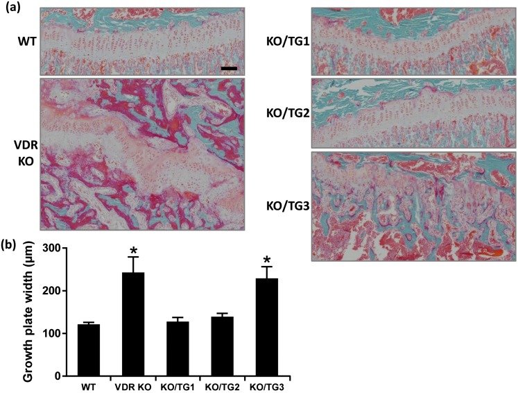 Figure 5.