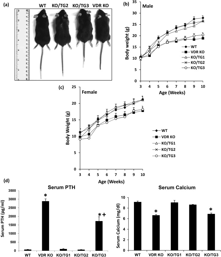 Figure 3.