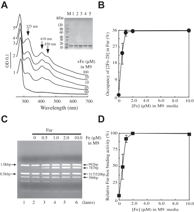 Figure 4