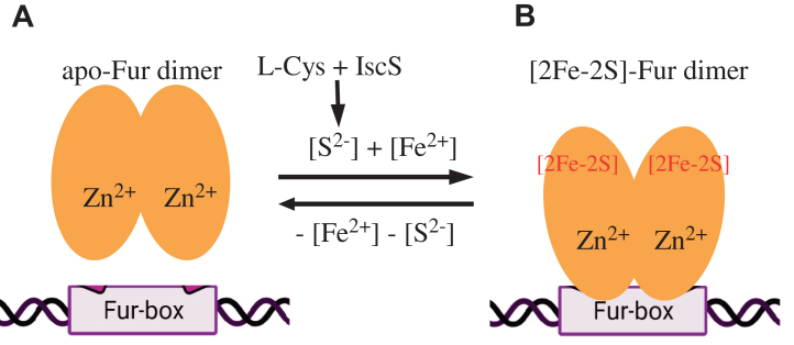 Figure 6