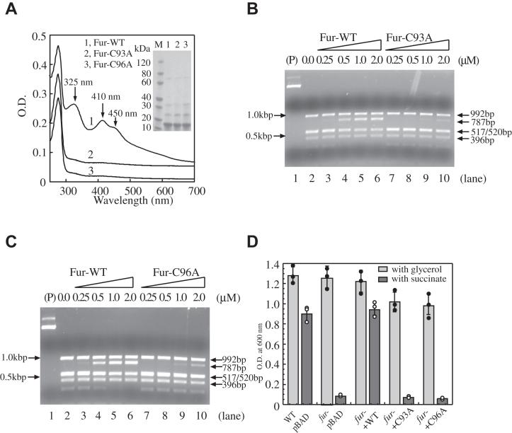 Figure 5