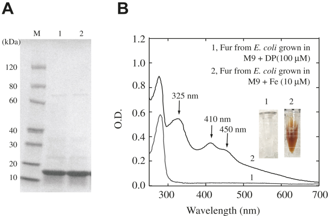 Figure 1