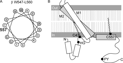 FIGURE 7.