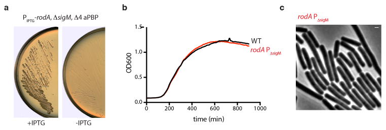 Extended Data Fig. 7