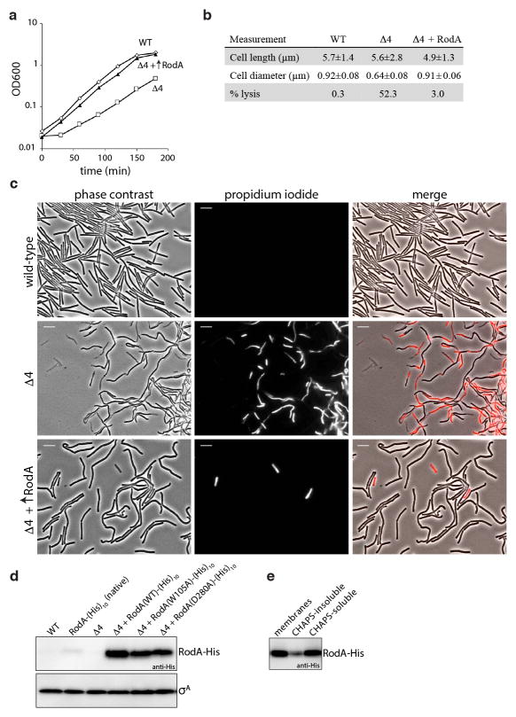 Extended Data Fig. 3