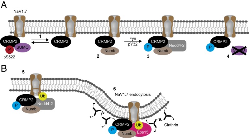 Fig. 9.