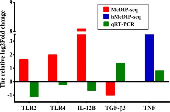 Fig. 7