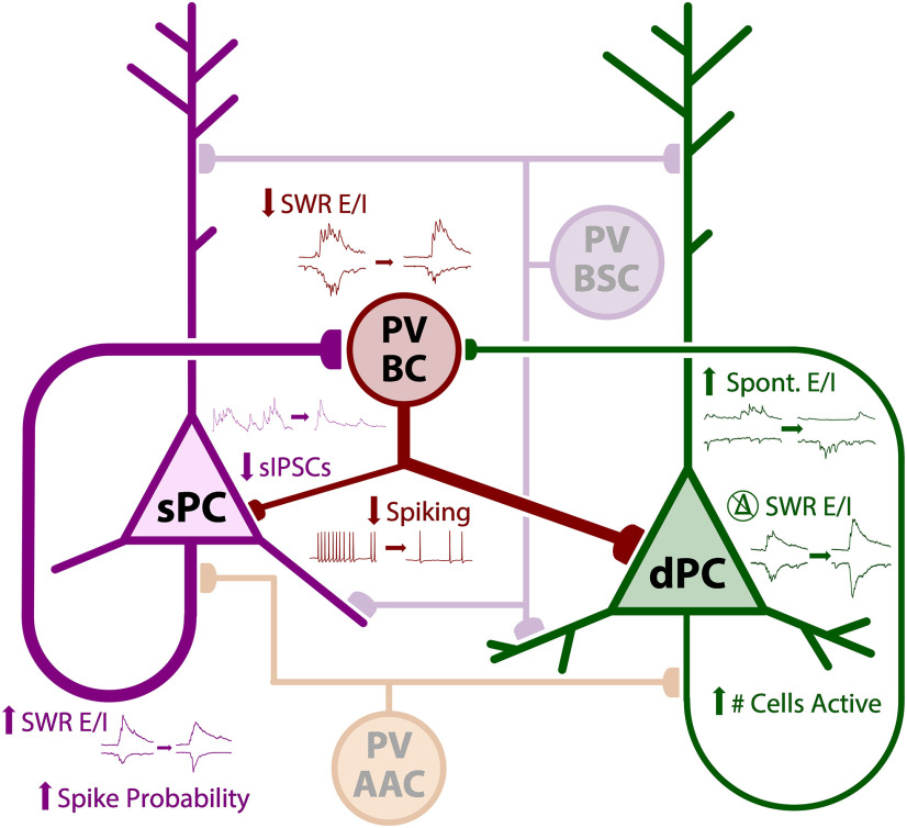 Figure 9.