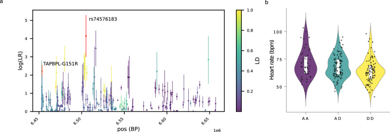 Fig. 3