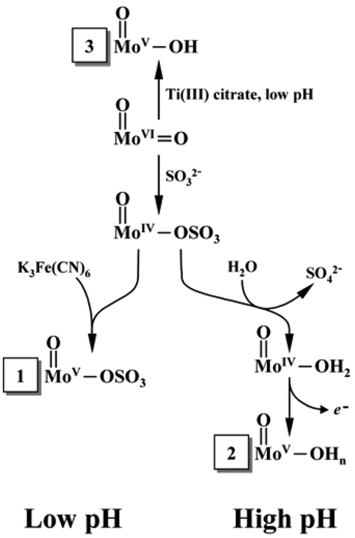 Scheme 2