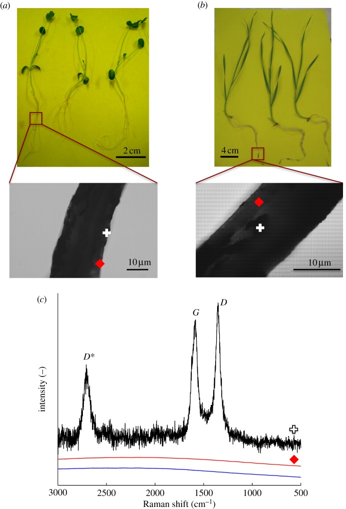 Figure 4.