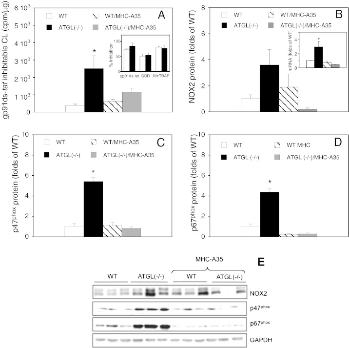 Fig. 1