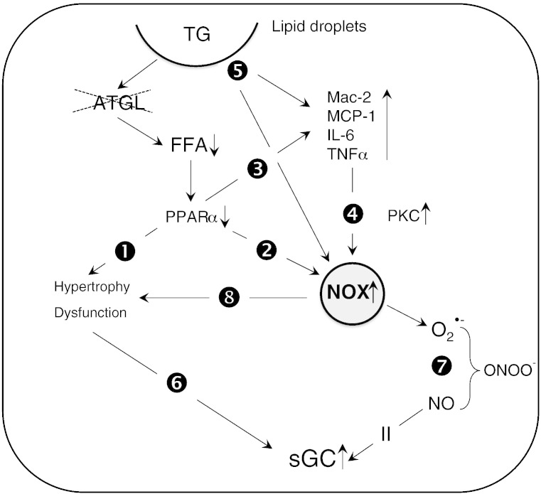 Scheme 1